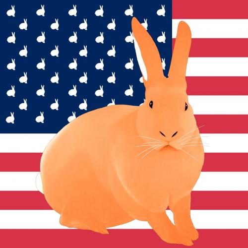 MANDARINE FLAG rabbit flag Showroom - Inkjet on plexi, limited editions, numbered and signed. Wildlife painting Art and decoration. Click to select an image, organise your own set, order from the painter on line